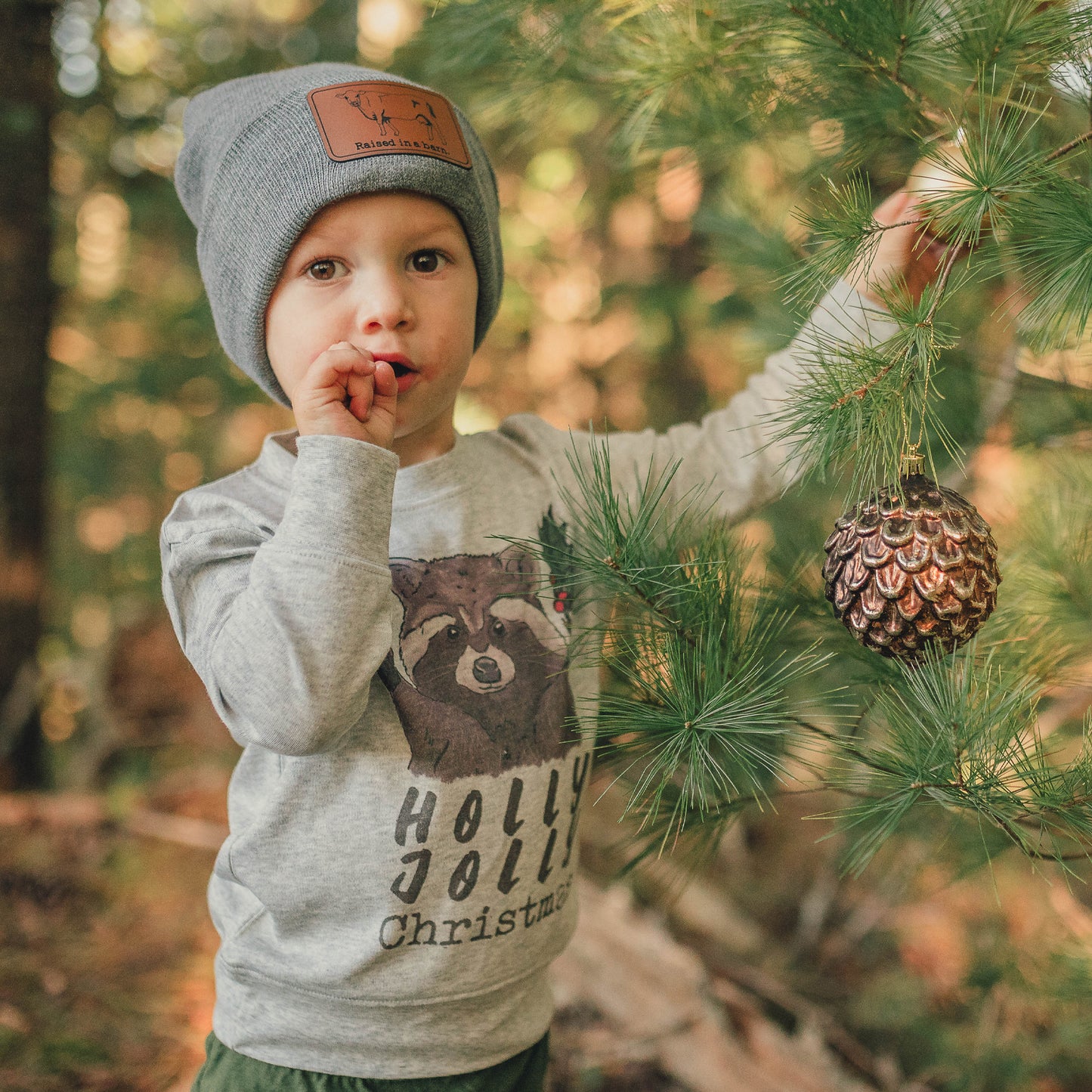 "Have a Holly Jolly Christmas" Woodland Raccoon Holiday Long Sleeve Shirt